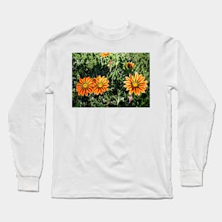 Gazania 6 Long Sleeve T-Shirt